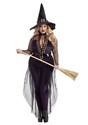 Women's Plus Size Midnight Violet Witch Costume