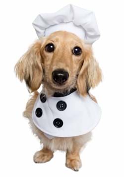 Chef Pet Costume