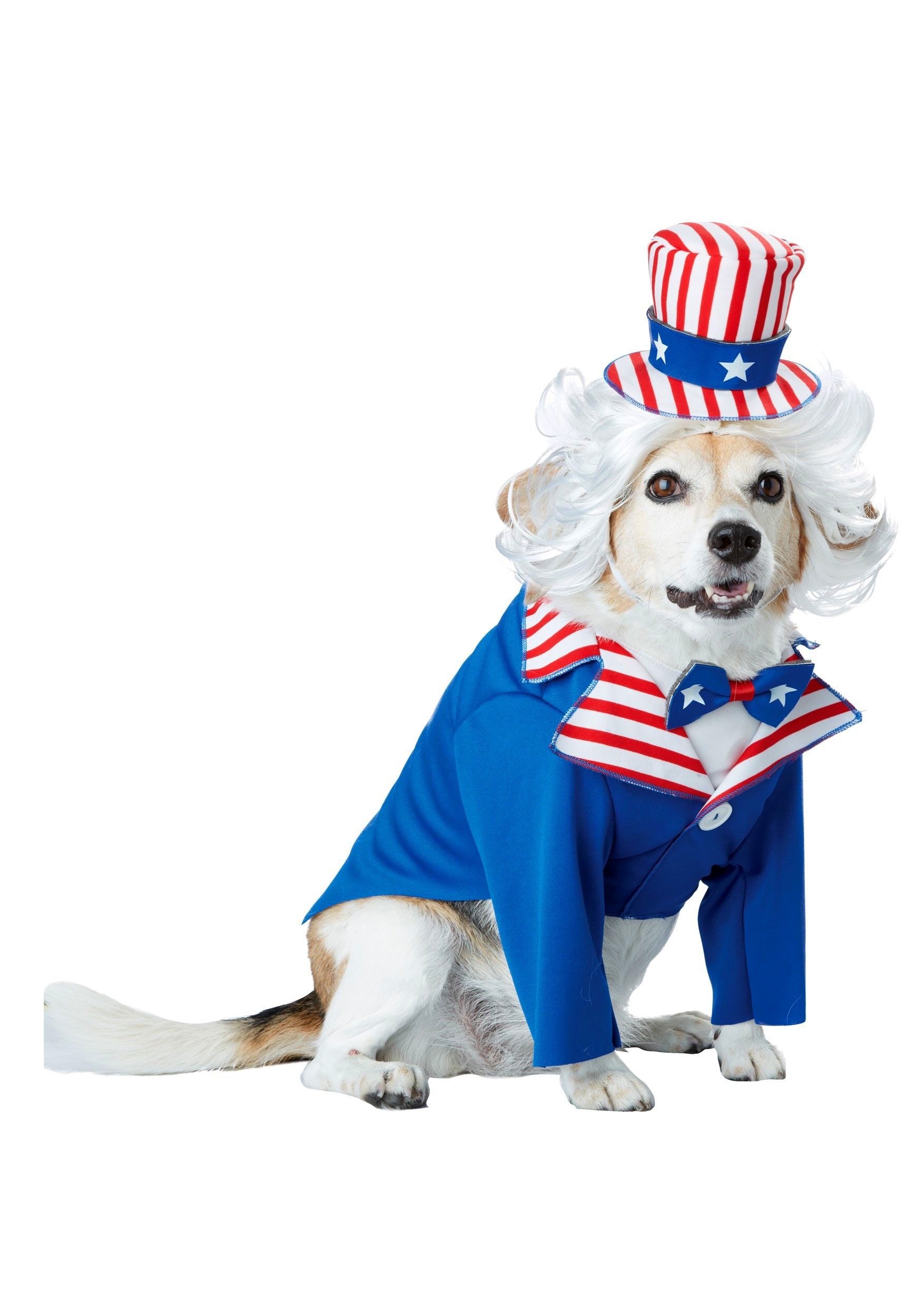 Pet Uncle Sam Fancy Dress Costume