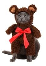 Teddy Bear Pet Costume Alt 1