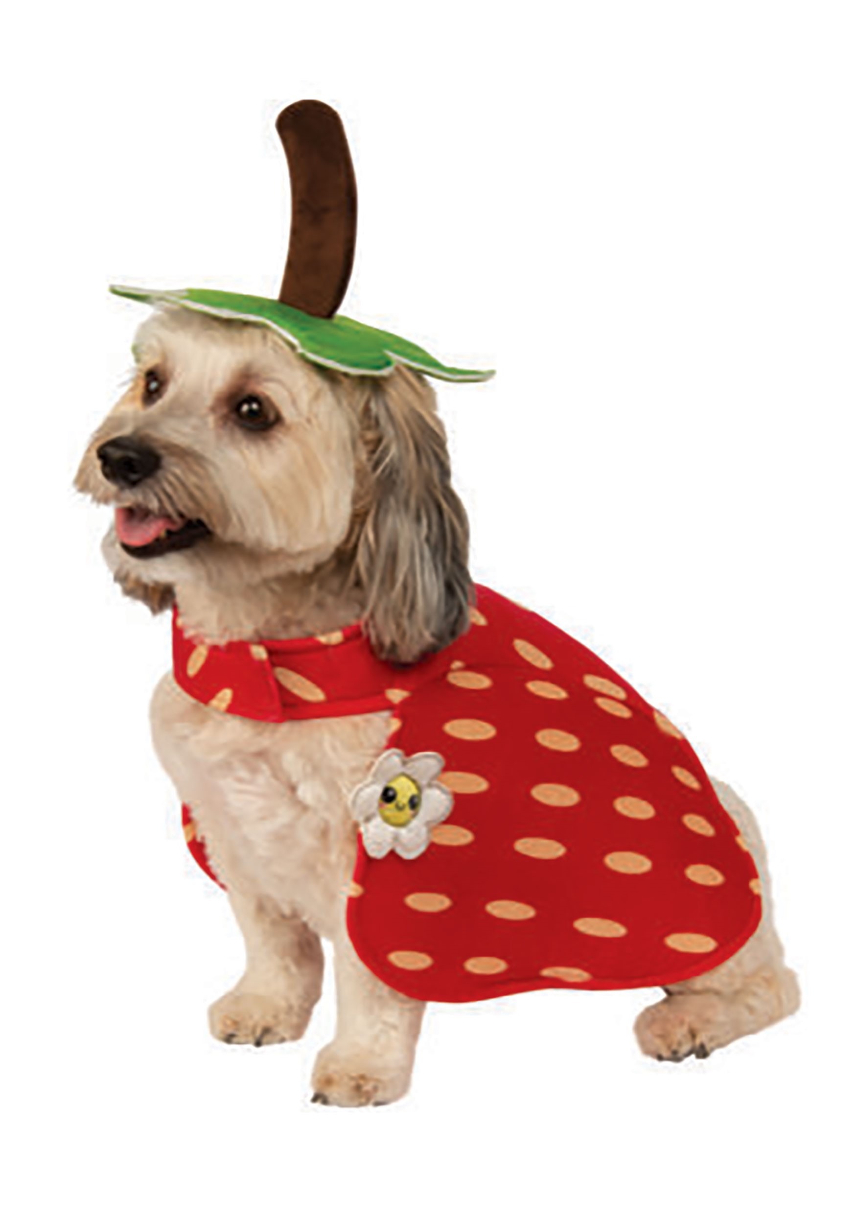Dog Yummy Strawberry Fancy Dress Costume