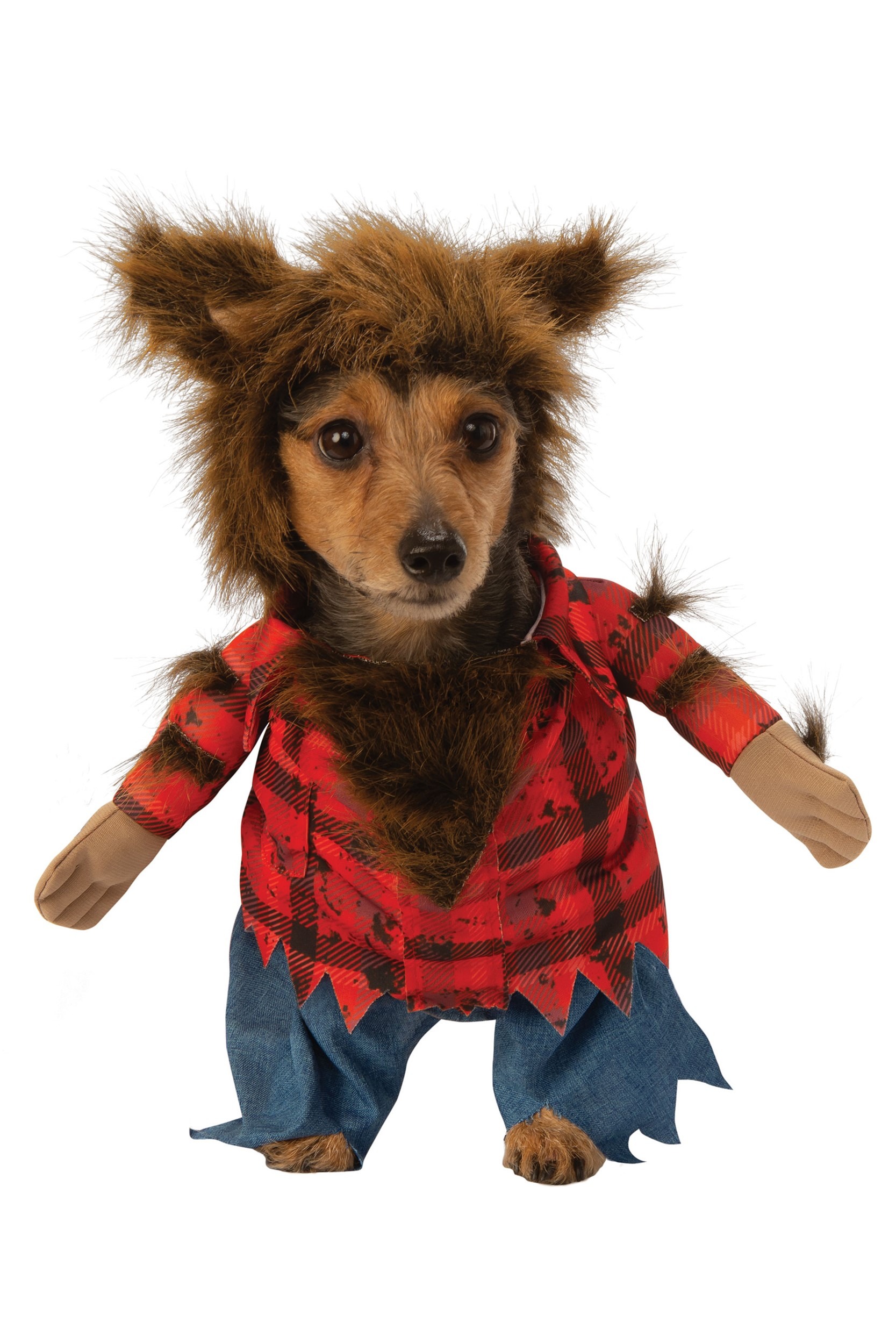 Dog Howlin' Werewolf Fancy Dress Costume