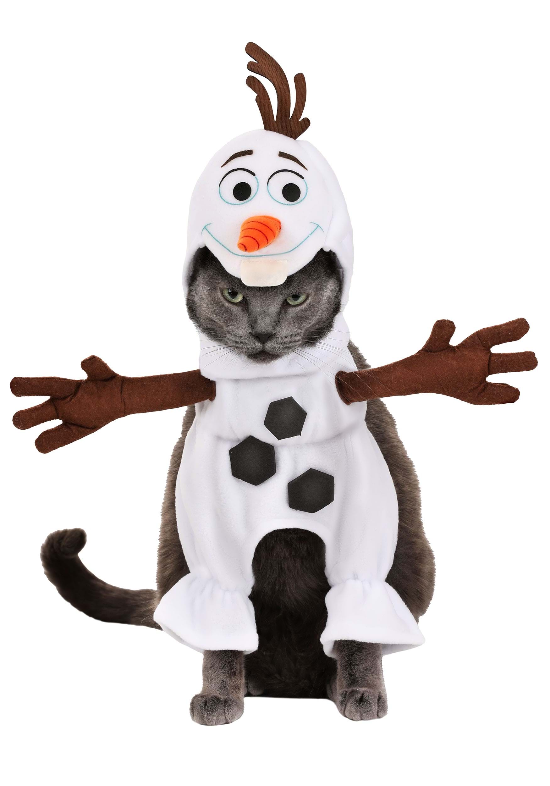 Dog Frozen Olaf Fancy Dress Costume