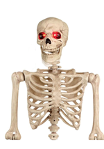 Mr. Crazy Bonez Animated Skeleton Alt 3