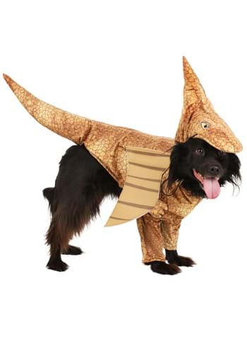 Pterodactyl Dog Costume