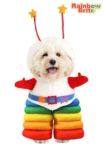 Rainbow Brite Sprite Pet Costume