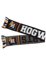 Hogwarts Reversible Knit Scarf Alt 3