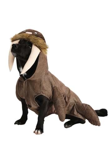 Walrus Dog Costume
