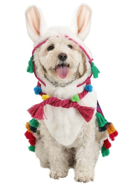 Llama Dog Costume
