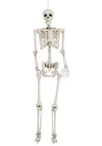 5 Ft Posable Skeleton