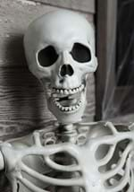 5 Ft Posable Skeleton (M38299) Alt 5