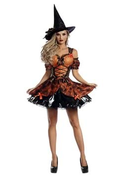 Women's Harvest Witch Costume