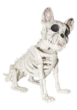 Skeleton Dog