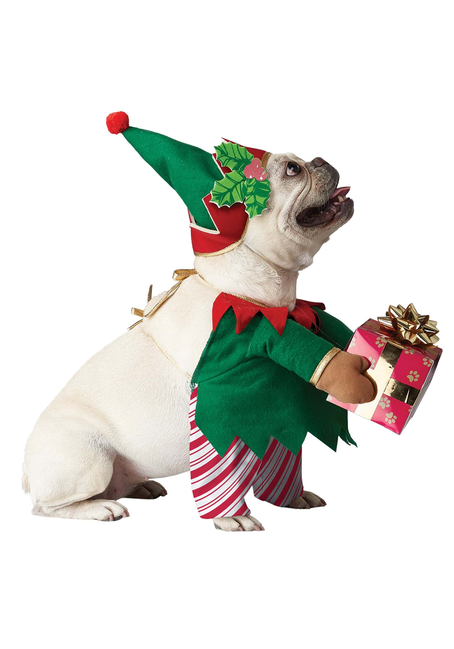 Christmas Elf Costume For Dogs.html