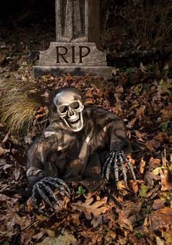 Moss Grave Breaker
