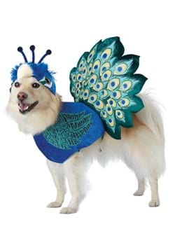 Pretty as a Peacock Pet Costume