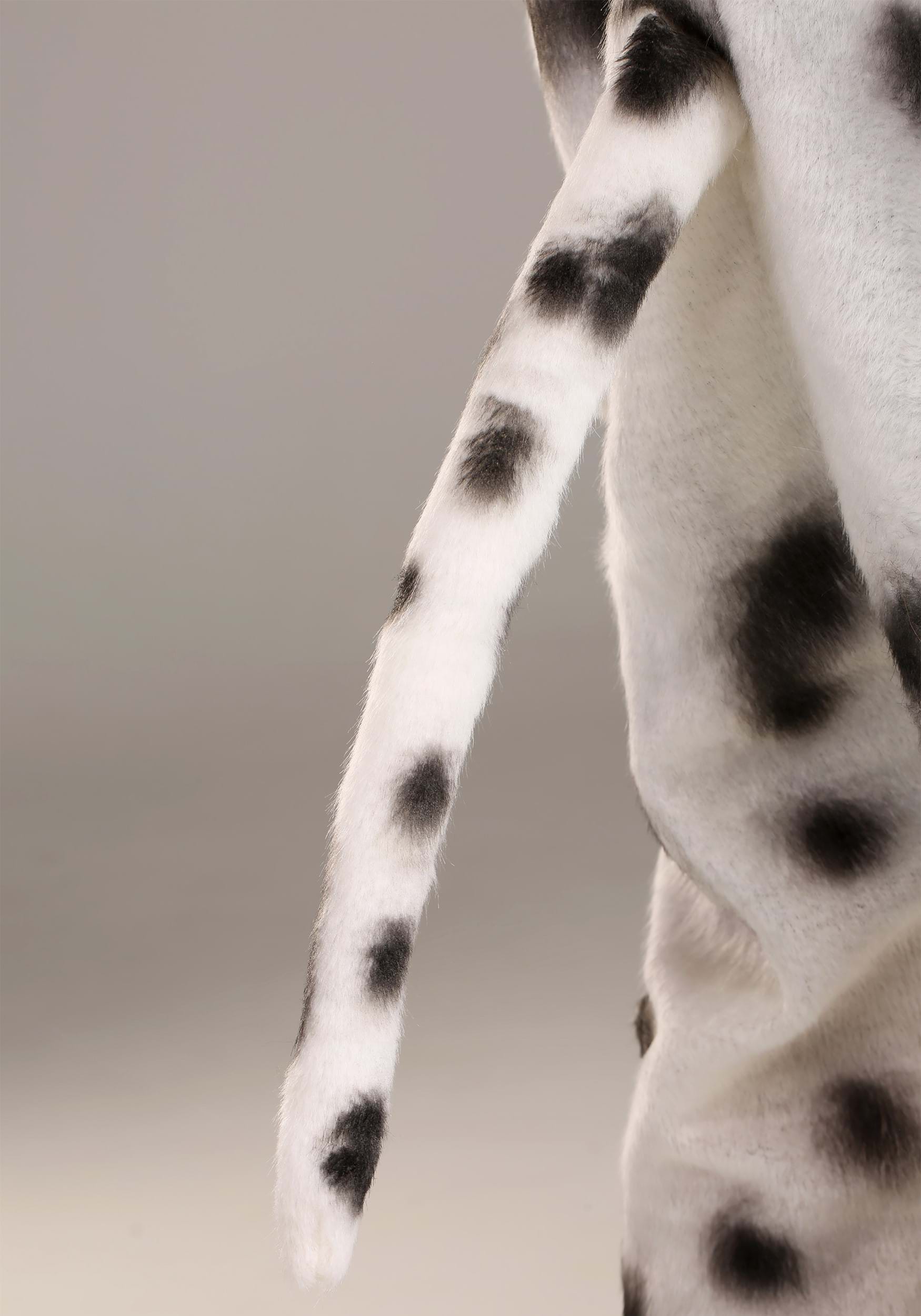 Adults Dalmatian Suit With Mouth Mover Mask