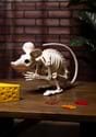 19.25" Attack Rat Skeleton