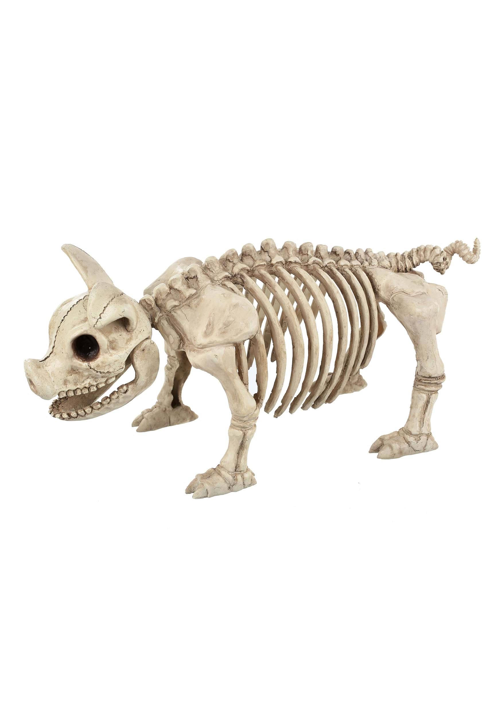 14.75-Inch Skeleton Pig Bonez Decoration | Animal Skeletons