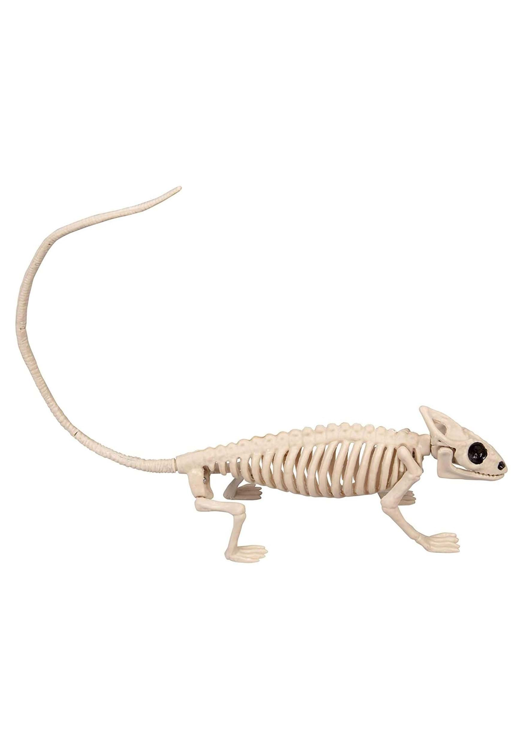 8-Inch Lizard Skeleton Decoration , Animal Skeletons