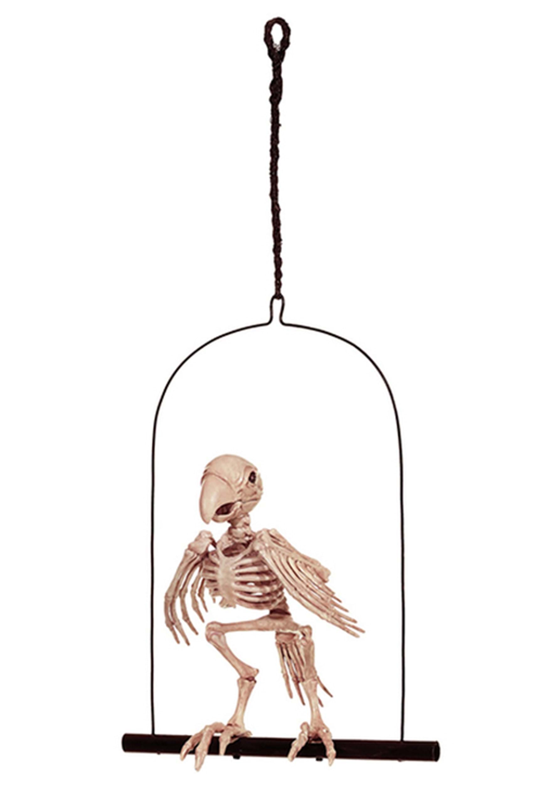 12.5-Inch Perched Skeleton Parrot Decoration | Animal Skeletons