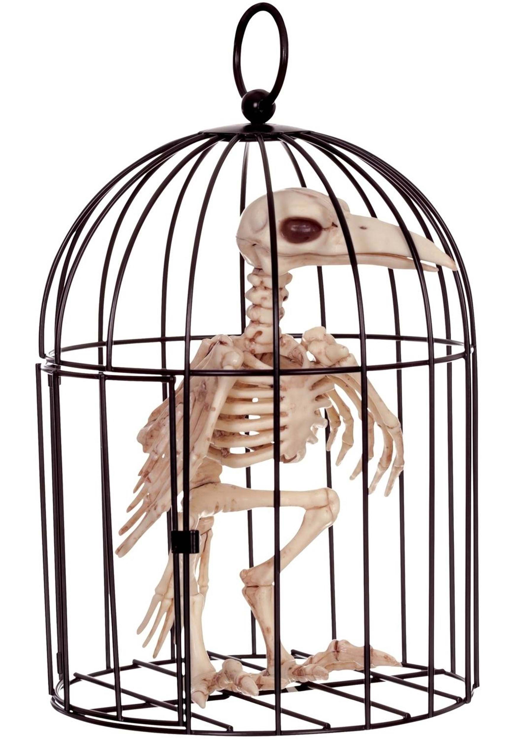 9.5 Raven Skeleton In A Cage
