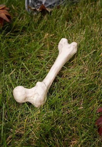 9" Big Bone