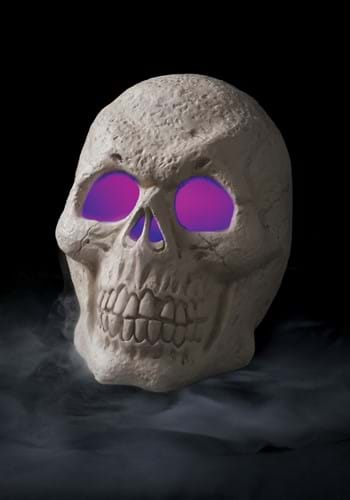 Misting Skull Decoration