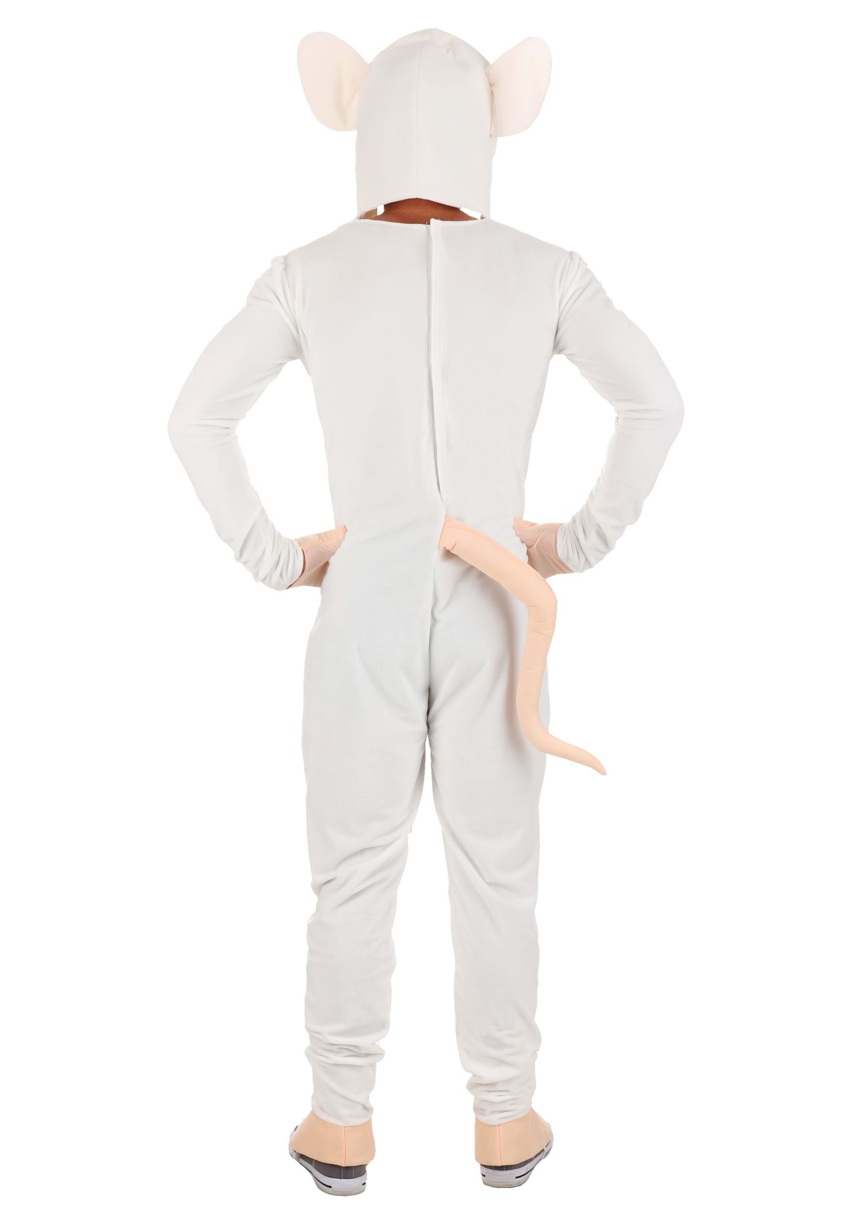 Adult Pinky And The Brain Brain Fancy Dress Costume