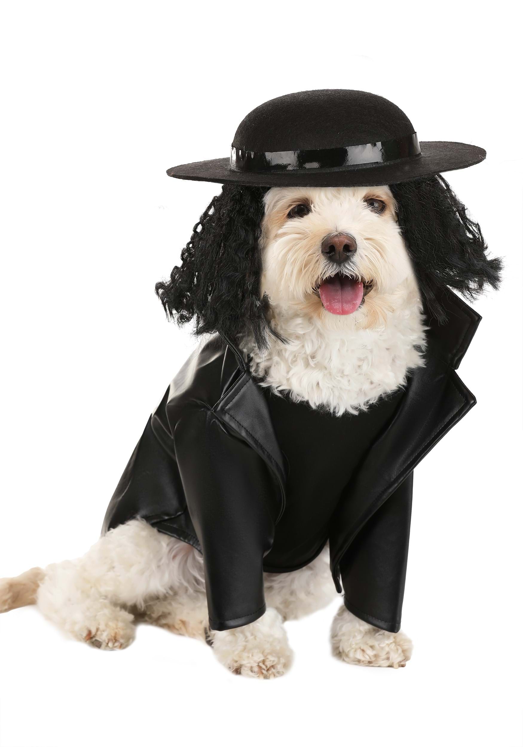 Undertaker Dog Fancy Dress Costume