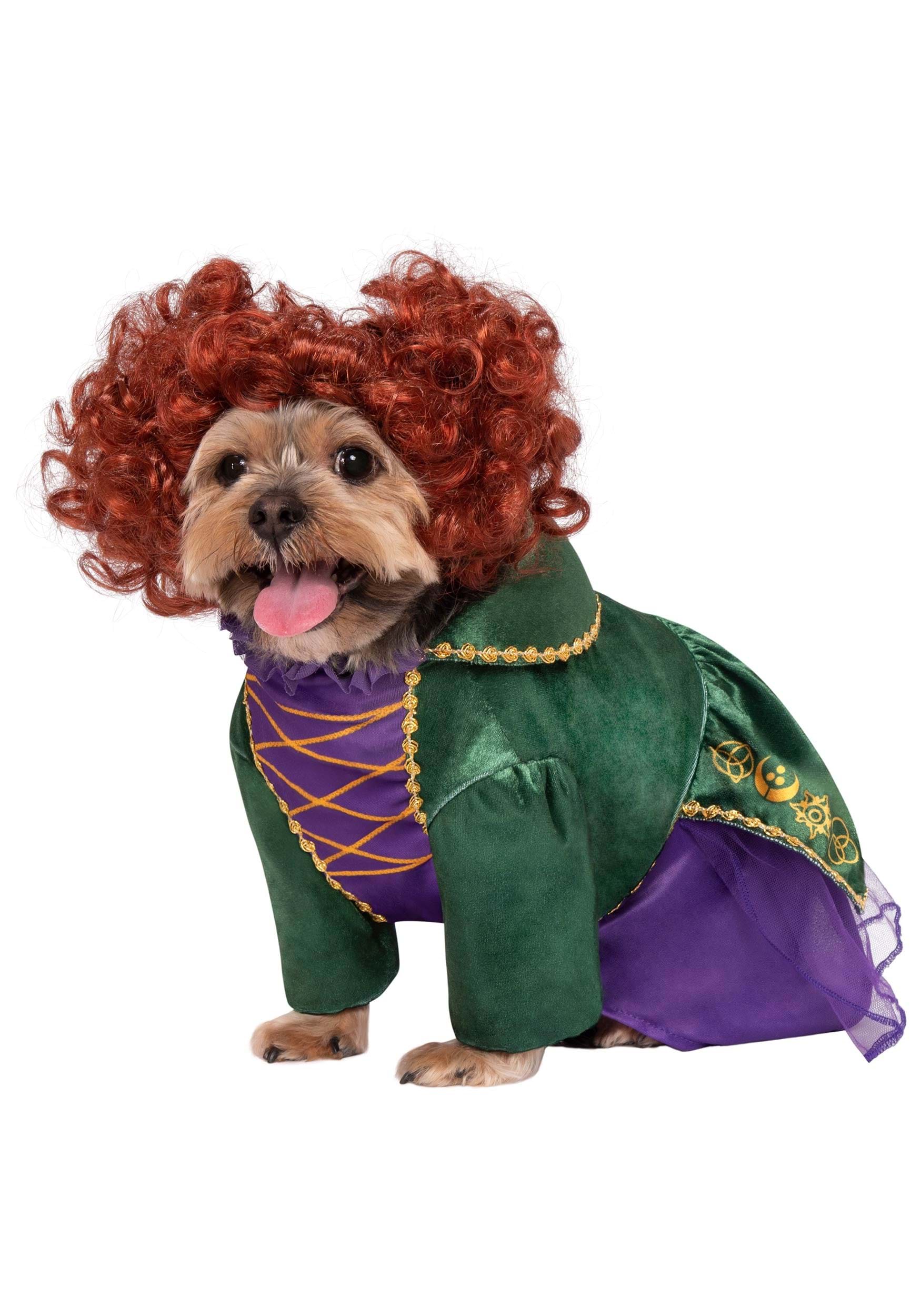Disney Hocus Pocus Winifred Sanderson Dog Fancy Dress Costume