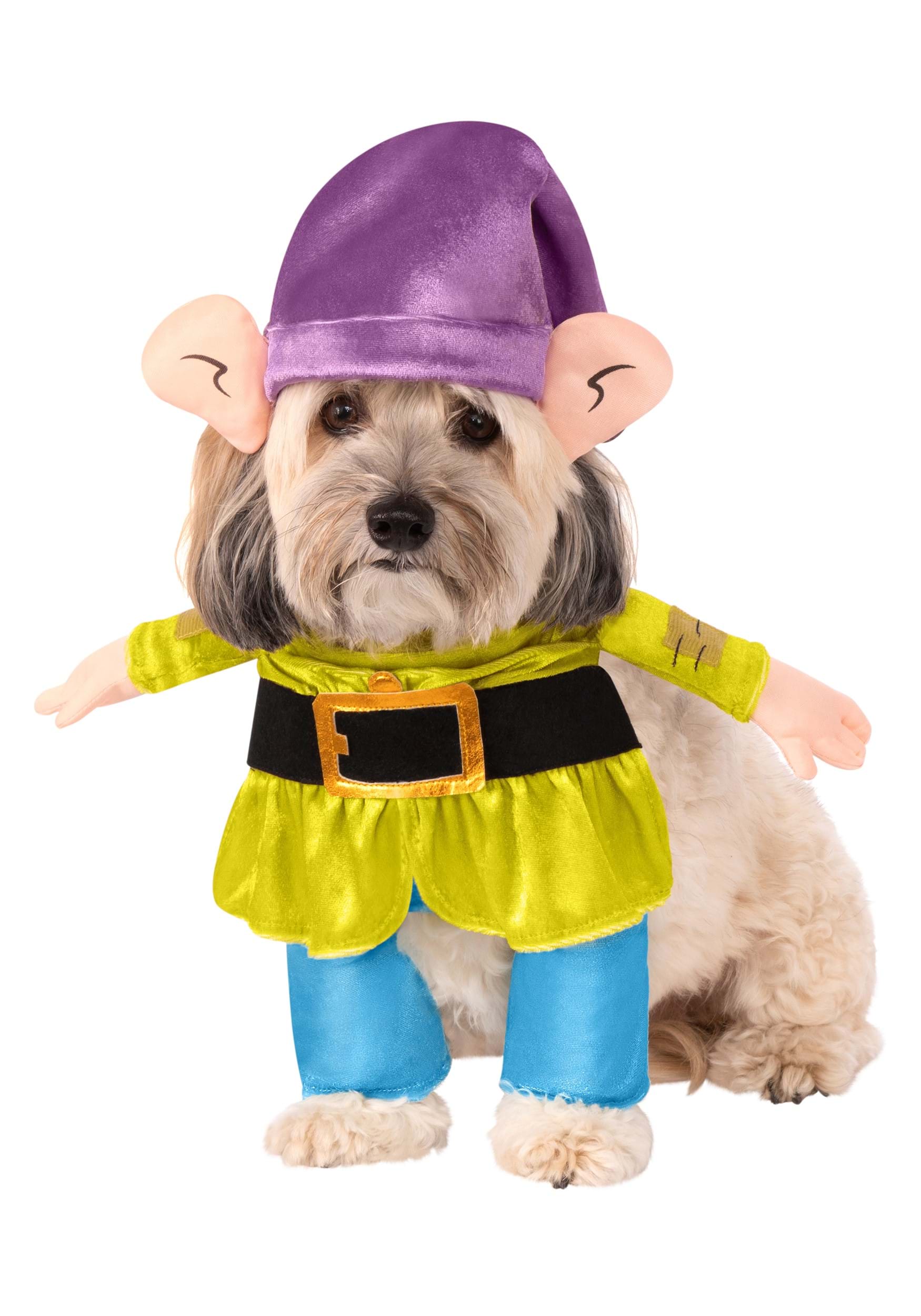 Dopey- Disney Dog Fancy Dress Costume