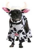 Cow Dog Costume Alt 1