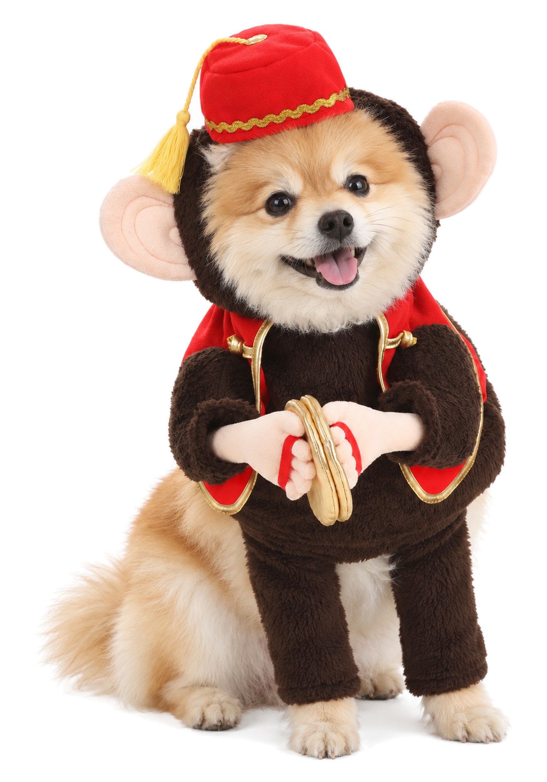 Circus Monkey Fancy Dress Costume for Pets | Halloween Pet Fancy Dress Costumes
