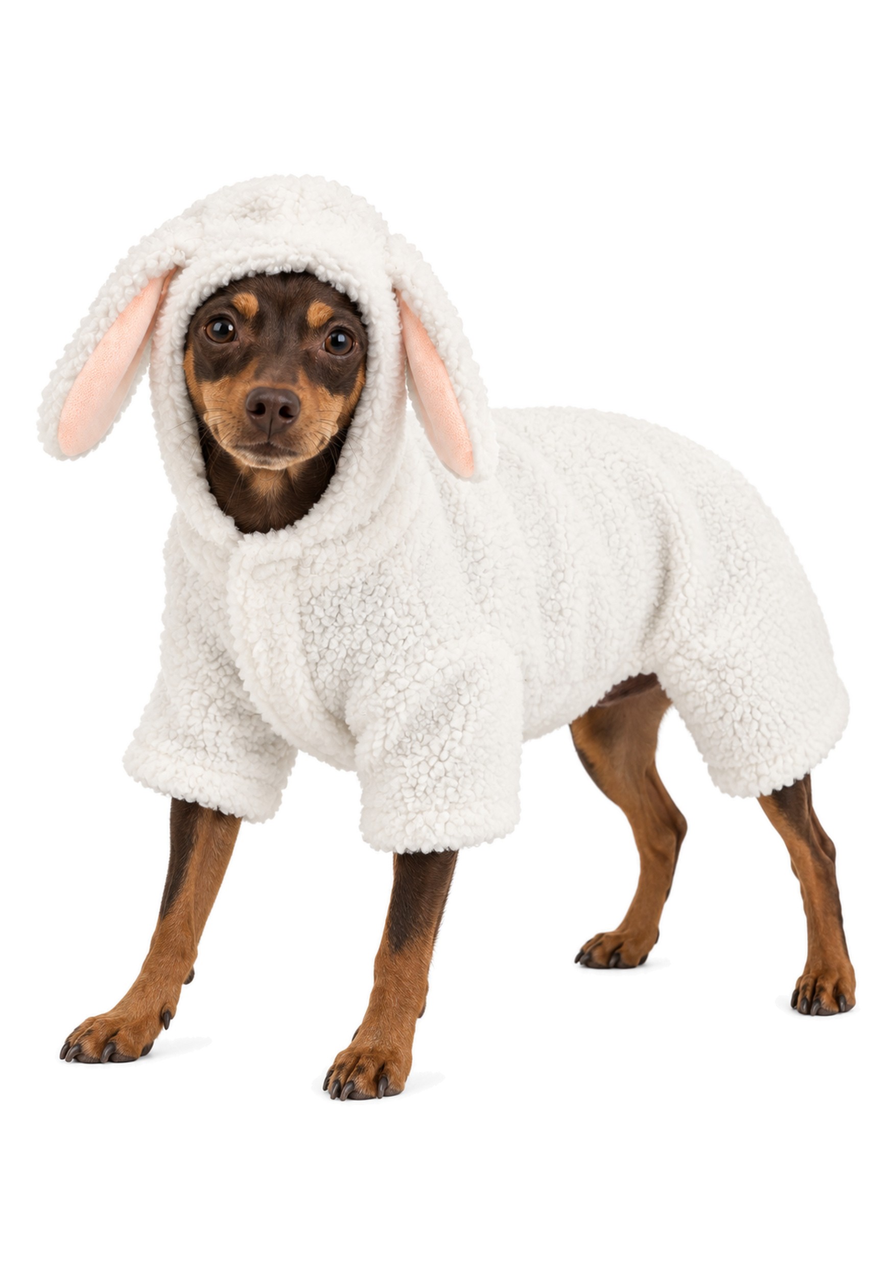 Sheep Pet Fancy Dress Costume for Dogs and Cats
