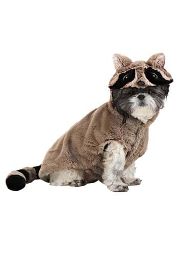 Raccoon Dog Costume