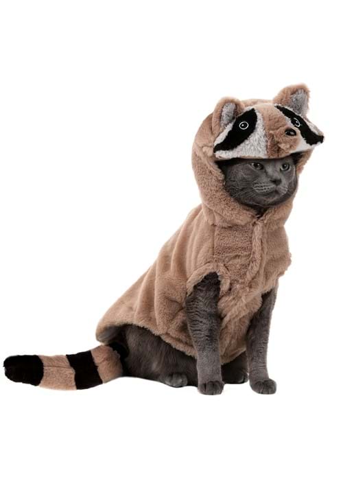 Dog Raccoon Costume