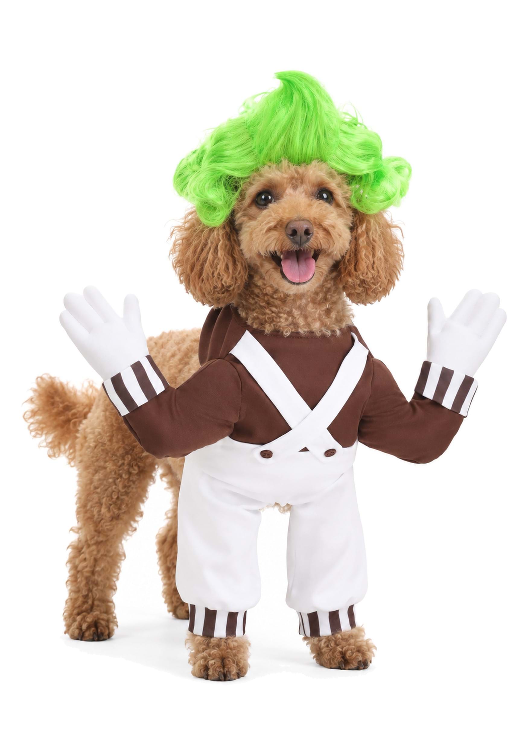 Dog Oompa Loompa Fancy Dress Costume