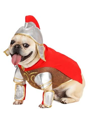 Gladiator Dog Costume