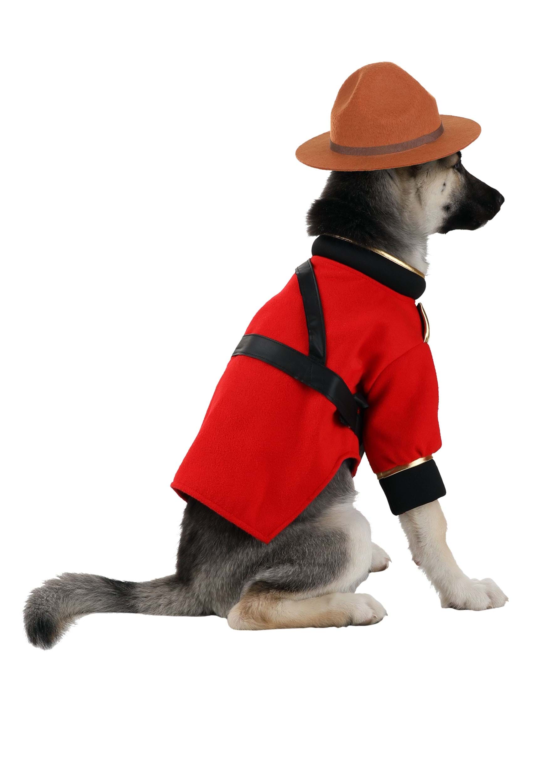 Dog Mountie Fancy Dress Costume