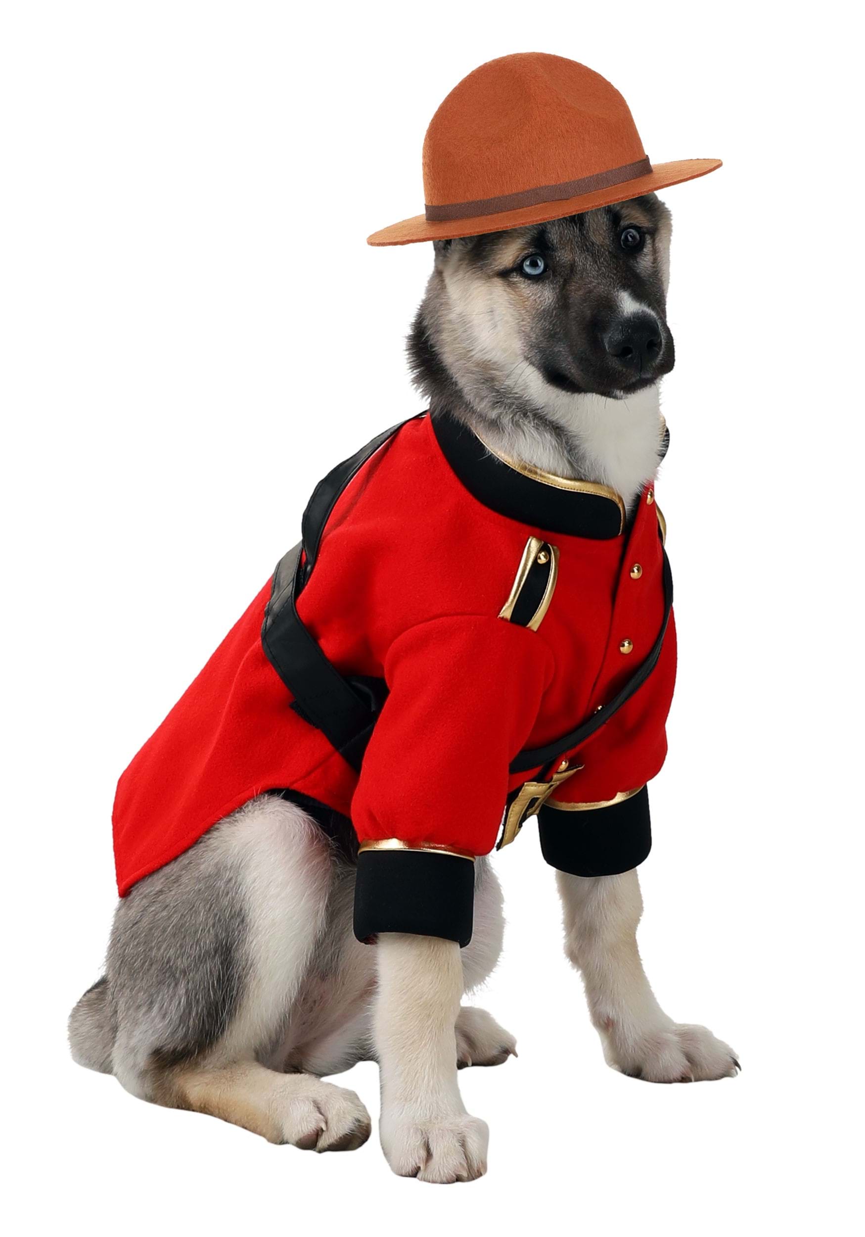 Dog Mountie Fancy Dress Costume