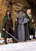 Adult Legolas Lord of the Rings Costume Alt 2