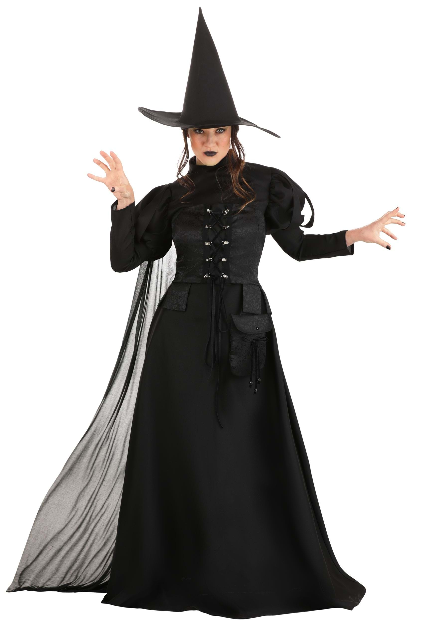 Premium Wayward Witch Fancy Dress Costume For Adults