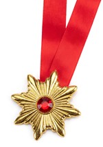 Vampire Medallion Necklace Alt 1