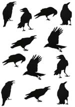 Crow Stickers - 12pcs Alt 7