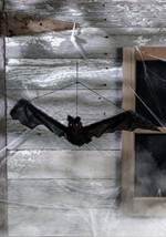 Fuzzy Hanging Bat Alt 3
