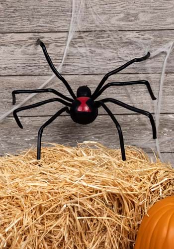 Spider black widow
