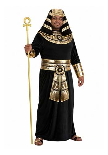 Plus Size Deluxe Pharaoh Robe Costume for Adults New Main