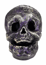 Skull w/ Color Change LED Light Alt 4