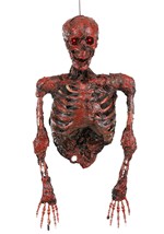 Hanging half skeleton w/red light Alt 2